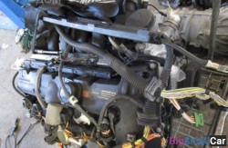 Форсунка n51 2.8 (13 Подготовка и регулир. рабочей смеси) 13537574376 - купить Тихорецке